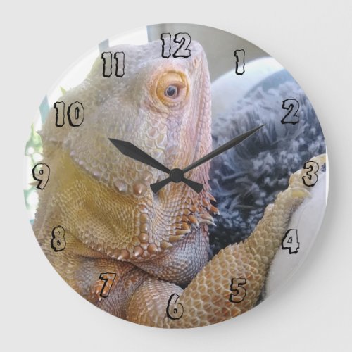 Funny Bearded Dragon up Close Photo Print Large Clock