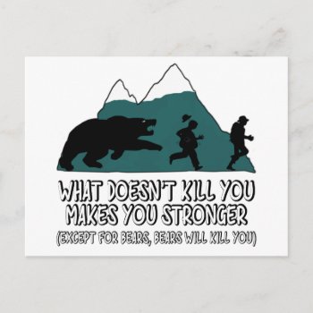 Funny Bears Postcard by Cardsharkkid at Zazzle