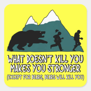 Funny bears square sticker