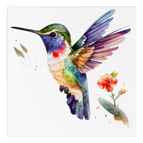 Funny  Beautiful Hummingbirds for Bird Lovers on  Acrylic Print