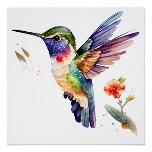 Funny  Beautiful Hummingbirds for Bird Lovers on  Poster