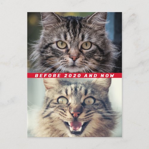 Funny Before And After 2020 Cat How Are You Doing Postcard