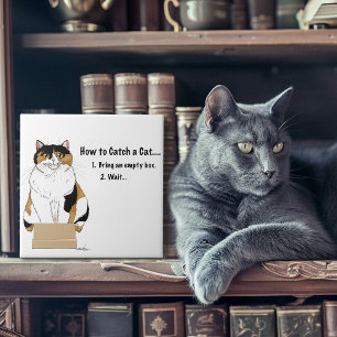 Funny Beige Calico Cat Box Humor Caught Ceramic Tile