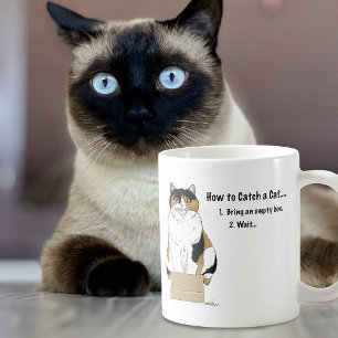Funny Beige Calico Cat Box Humor Caught Coffee Mug