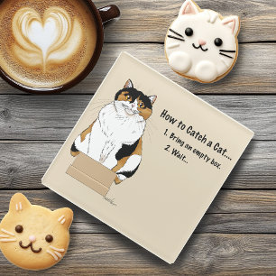 Funny Beige Calico Cat Box Humor Caught Glass Coaster