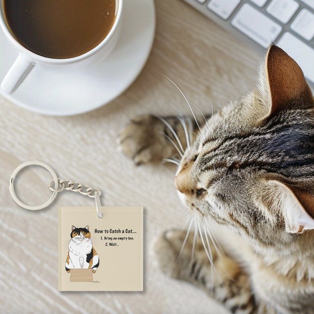 Funny Beige Calico Cat Box Humor Caught Keychain (Creator Uploaded)