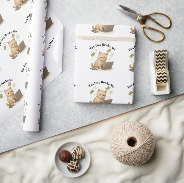 Funny Beige Minimal Stressed Cat Tax Day Wrapping Paper (Crafts)