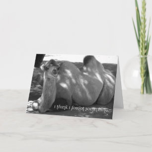 Funny Belated Birthday Card – Camel Humor Card