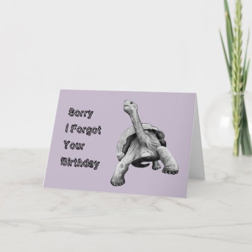 Funny Belated Birthday Slow Turtle Pencil Art Card