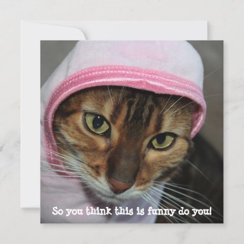 Funny Bengal Cat So you think this is funny Holiday Card