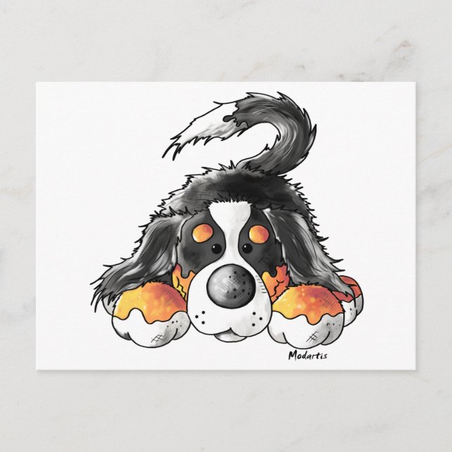Funny Bernese Mountain Dog Cartoon Postcard (Front)