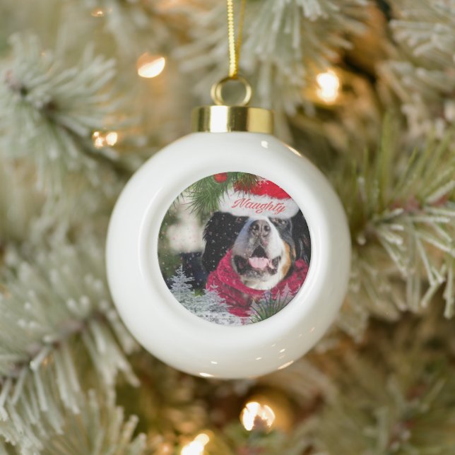 Funny Bernese Mountain Dog naughty Santa Ornament (Tree)