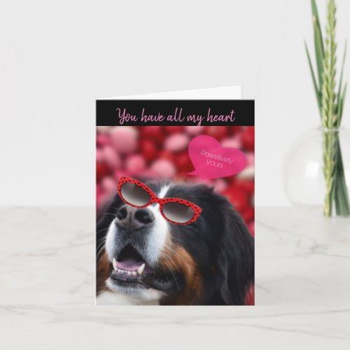 Funny Bernese Mountain Dog Valentines Card