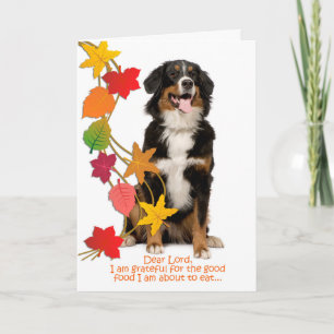 Funny Bernese Mt. Dog Thanksgiving Card