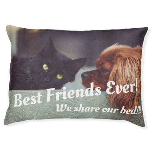 Funny Best Friends Forever Dog Cat Photo Pet Bed