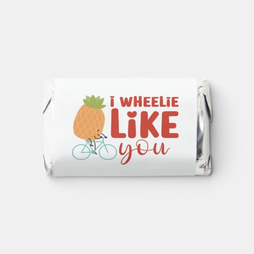 Funny Bicycle I Really Like You Valentines Day Hersheys Miniatures