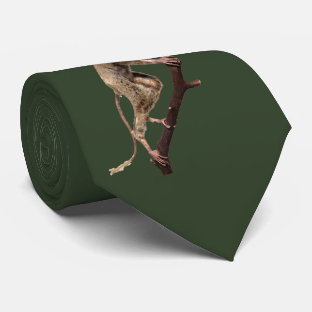 Funny Big Eye Taxidermy Primate | Monkey | Lemur Neck Tie (Rolled)