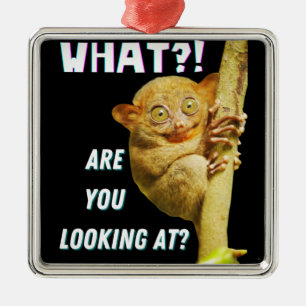 Funny Big Eyed Tarsier What Are You Looking At Metal Ornament