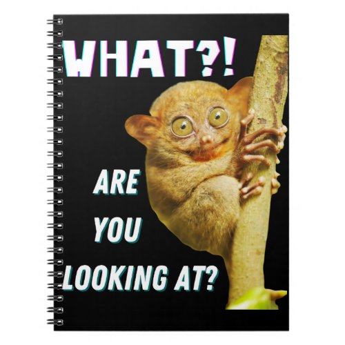 Funny Big Eyed Tarsier What Are You Looking At Notebook