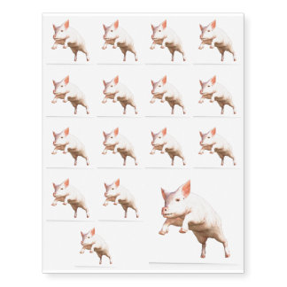 Funny big young pig jumping high temporary tattoos