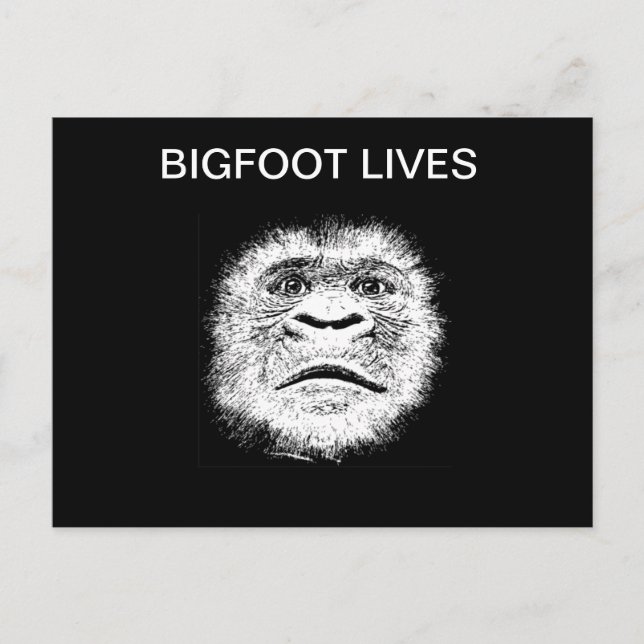 Funny Bigfoot Gifts Postcard (Front)