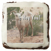 Funny Bighorn Sheep at Zion National Park Brownie (Front)