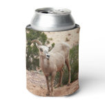 Funny Bighorn Sheep at Zion National Park Can Cooler