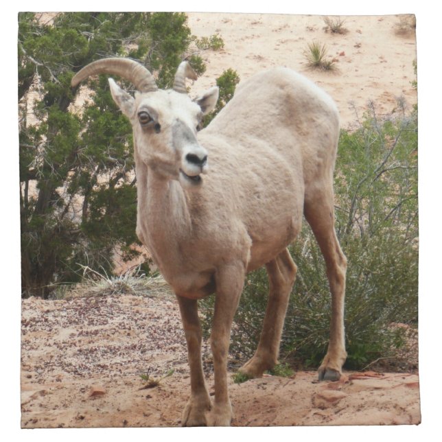 Funny Bighorn Sheep at Zion National Park Cloth Napkin (Front)