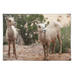 Funny Bighorn Sheep at Zion National Park Cloth Placemat