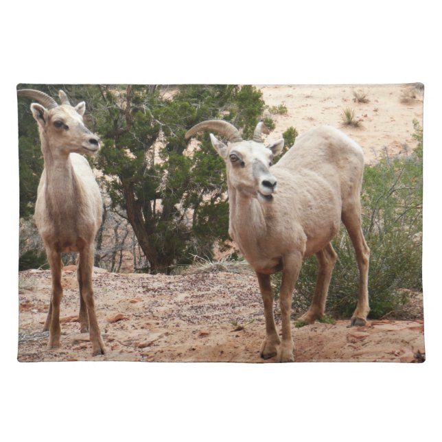Funny Bighorn Sheep at Zion National Park Cloth Placemat (Front)