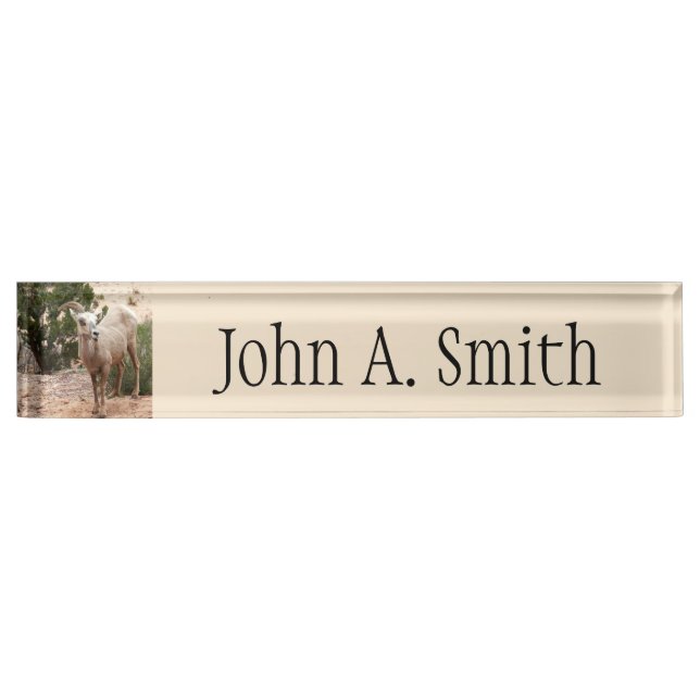 Funny Bighorn Sheep at Zion National Park Desk Name Plate (Front)