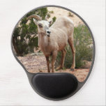 Funny Bighorn Sheep at Zion National Park Gel Mouse Pad