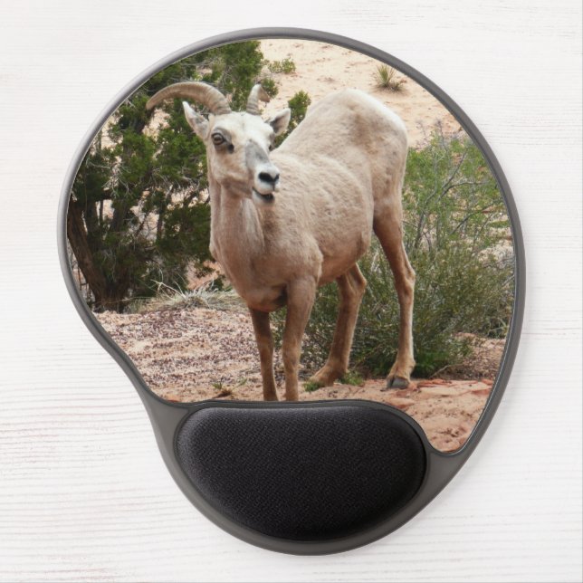 Funny Bighorn Sheep at Zion National Park Gel Mouse Pad (Front)