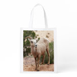 Funny Bighorn Sheep at Zion National Park Grocery Bag