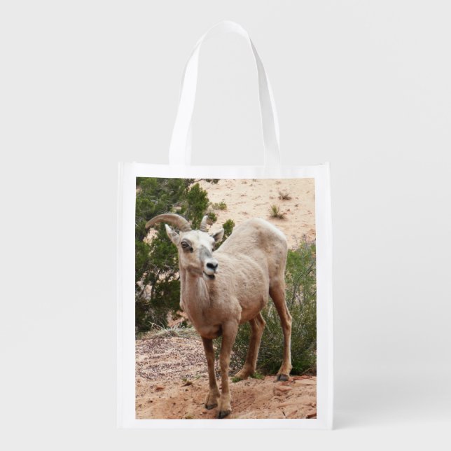 Funny Bighorn Sheep at Zion National Park Grocery Bag (Front)