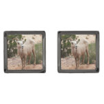 Funny Bighorn Sheep at Zion National Park Gunmetal Finish Cufflinks