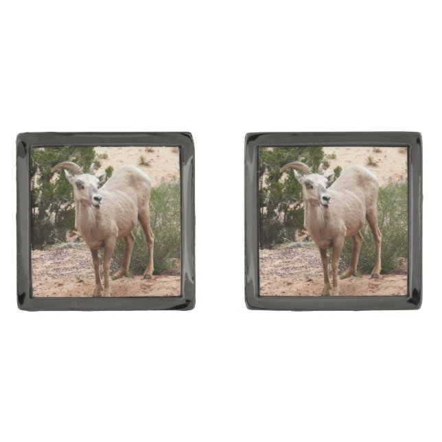 Funny Bighorn Sheep at Zion National Park Gunmetal Finish Cufflinks (Front)
