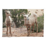 Funny Bighorn Sheep at Zion National Park Kitchen Towel