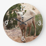 Funny Bighorn Sheep at Zion National Park Large Clock