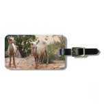 Funny Bighorn Sheep at Zion National Park Luggage Tag