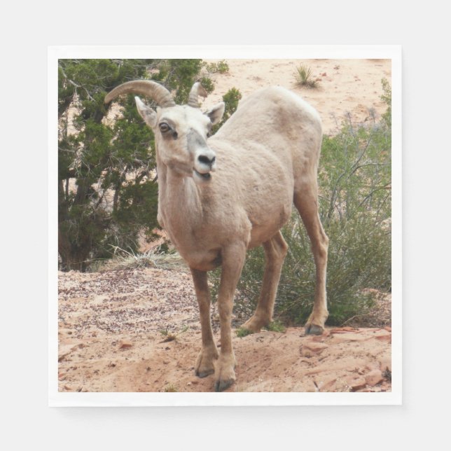 Funny Bighorn Sheep at Zion National Park Paper Napkins (Front)