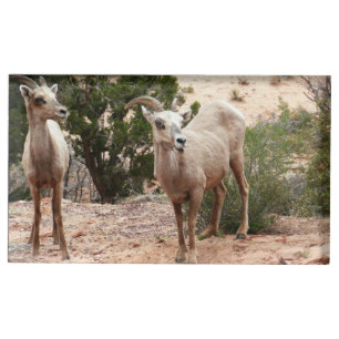 Funny Bighorn Sheep at Zion National Park Place Card Holder