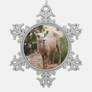 Funny Bighorn Sheep at Zion National Park Snowflake Pewter Christmas Ornament