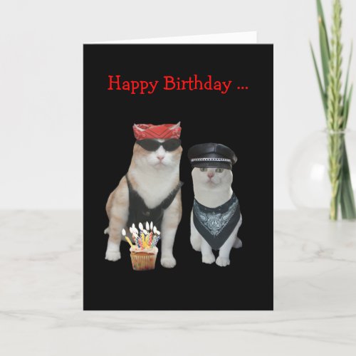 Funny Biker Cat Birthday Card