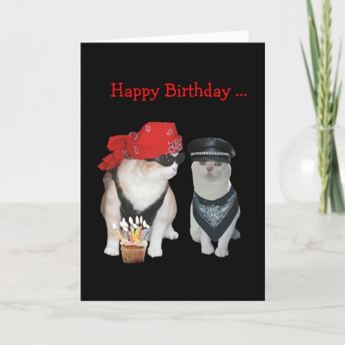 Funny Biker Cat Birthday Card