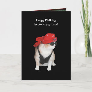 Funny Biker Cat Birthday from Conservatives Card
