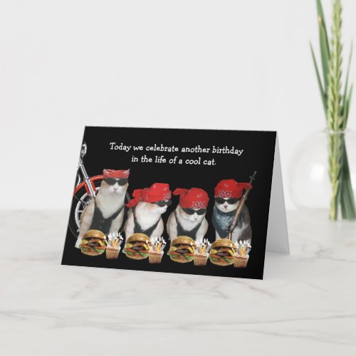 Funny Biker Cats Birthday Card