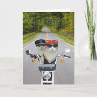 Funny Biker Cats Valentine/Anniversary Holiday Card