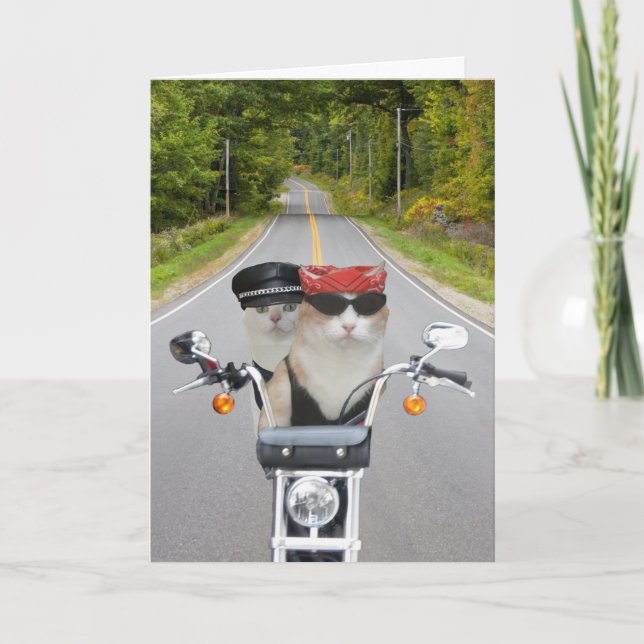 Funny Biker Cats Valentine/Anniversary Holiday Card (Front)