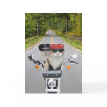 Funny Biker Cats Valentine/Anniversary Holiday Card Funny Biker Cats Valentine/Anniversary Holiday Card